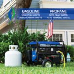 5,500 Watt Dual Fuel Portable Generator - Image 4